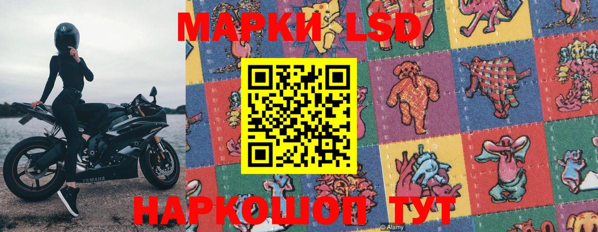 Сорочинск  где купить наркоту  Вход с VPN  Наркотические марки 1,8мг  Наркотические марки 1,8мг 