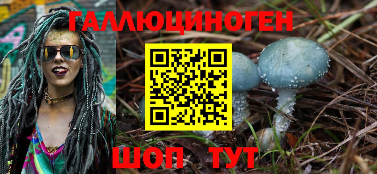 Галлюциногенные грибы Psilocybe  Псилоцибиновые грибы Psilocybe  Сорочинск  Вход с VPN 