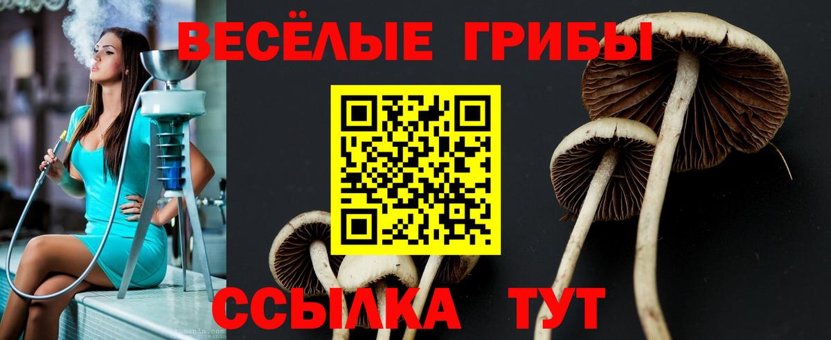 Галлюциногенные грибы ЛСД Сорочинск